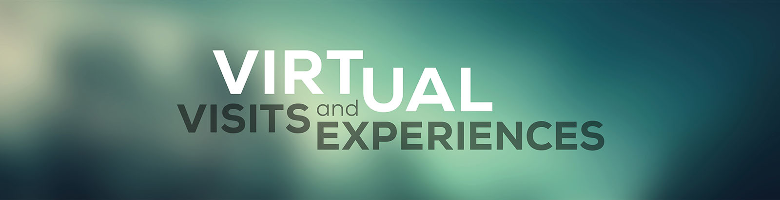 Virtual visits and experiences